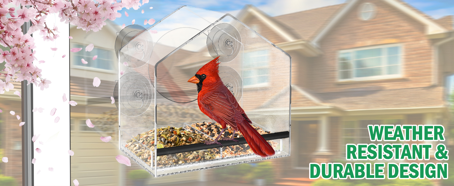 weather-proof window bird feeder