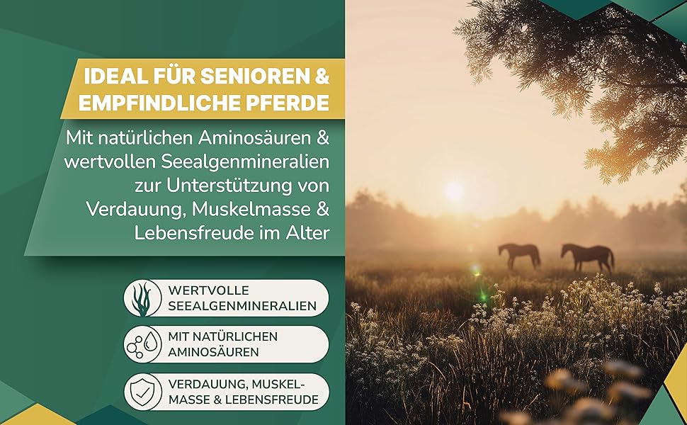 Der Text lautet „IDEAL FÜR SENIOREN & EMPFINDLICHE PERSONEN“. Grün getöntes Marketing-Panel mit kreisförmigen Symbolen und Text zu Produktmerkmalen.