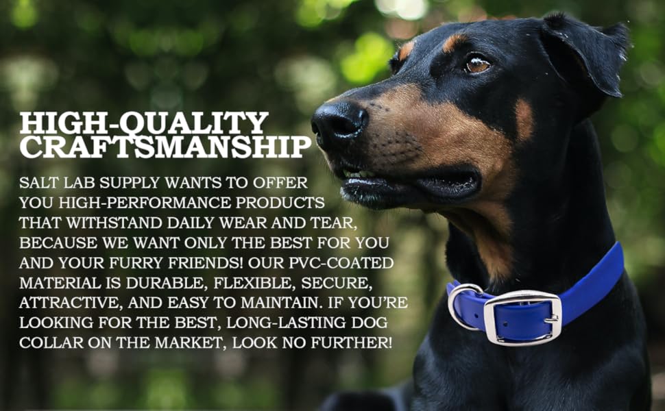 Salt Lab Supply Waterproof Dog Collars Heavy Duty