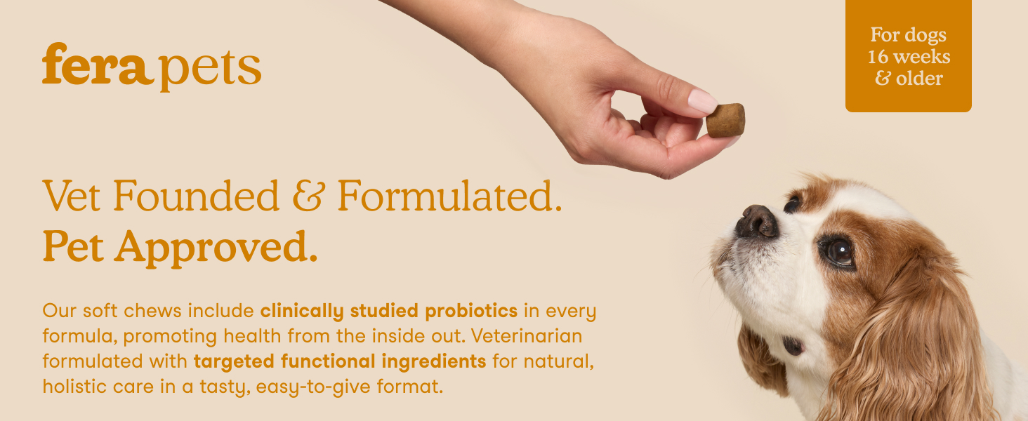Fera Pet Allergy Immune Soft Chews