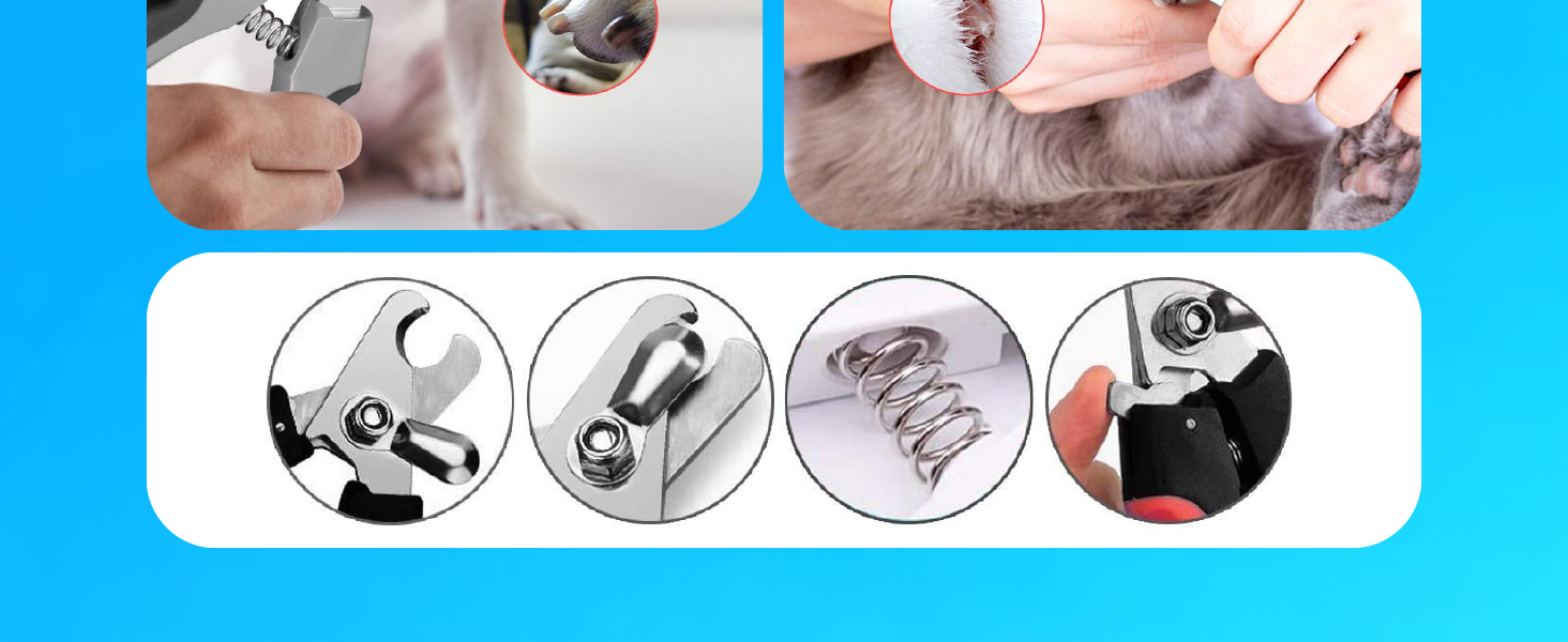 nail pets
