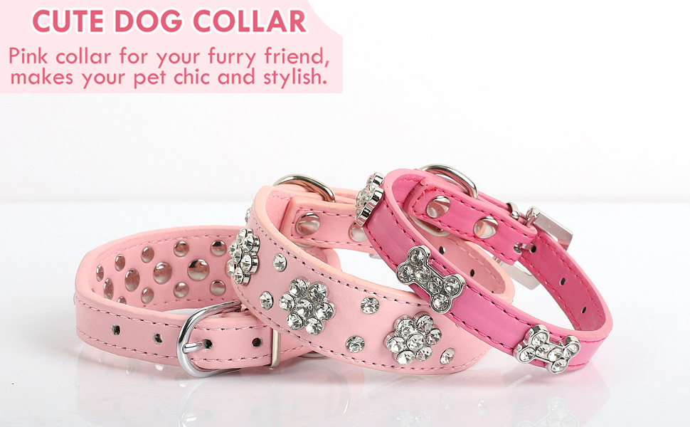 Dog Collar and Leash Set for Small Dogs Chihuahua Collar