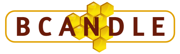 Bcandle, beeswax candles, quality candles, value candles, tapers, votives, handmade, made in USA