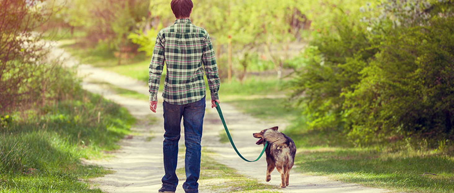 Corduroy Dog Lead