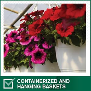 Small manufacture image 8