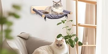 Cat Cage Hammock with Ball,Double Layer Hanging Adjustable Soft Pet Bed