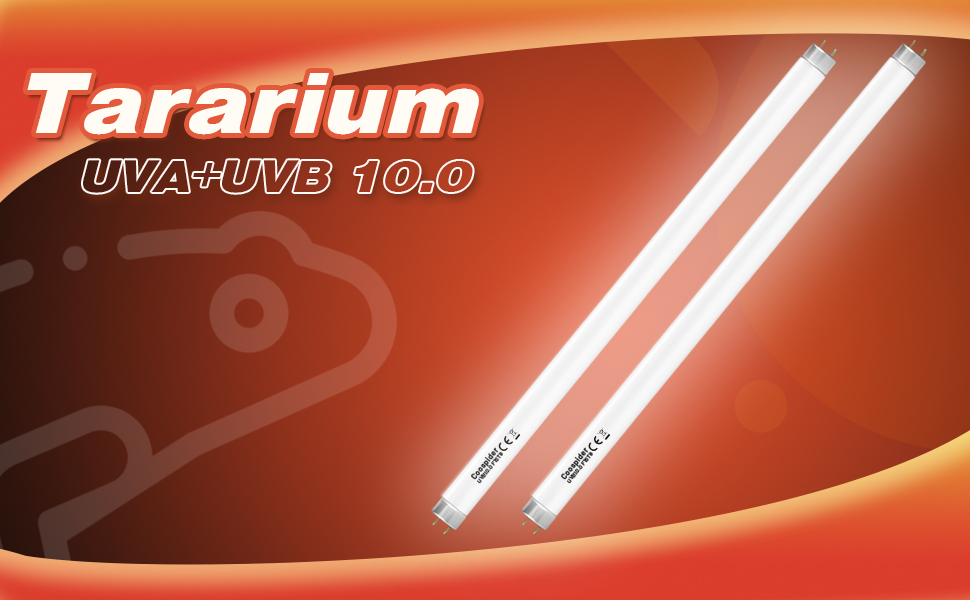 2 Pack Terrarium Reptile Light Bulb UVB10.0 15W Vivarium UVA UVB