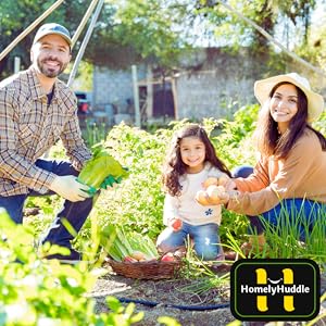 A family of three in the farm haresting potatoes, lettuce etc. 