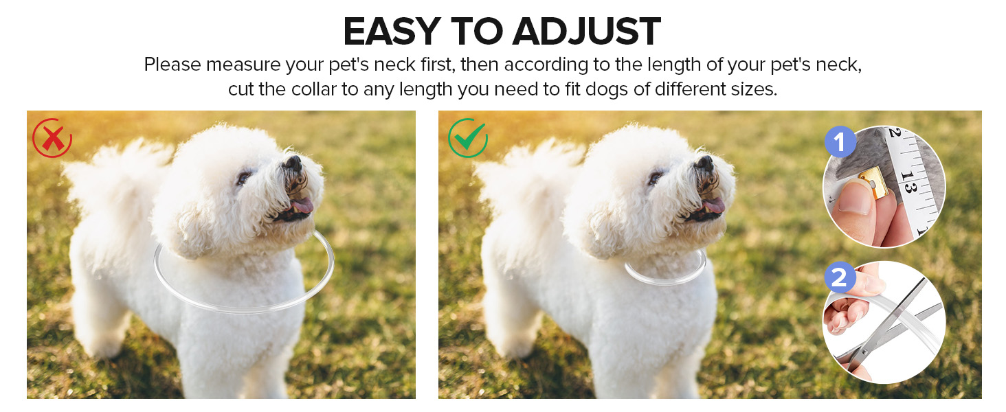 Anleitung zur Einstellung des Hundehalsbandes, das einen weißen Hund zeigt, der ein Halsband trägt, mit einem Anleitungsdiagramm, das die richtige Anpasstechnik zeigt