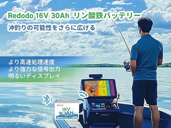 Amazon.co.jp: Redodo 16V 30Ah リン酸鉄リチウムイオン