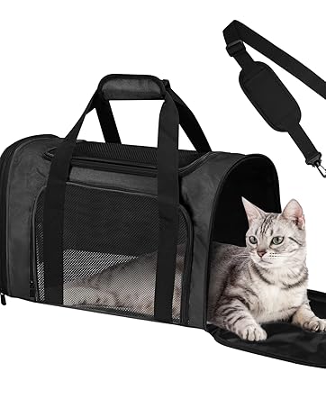 pet travel bag
