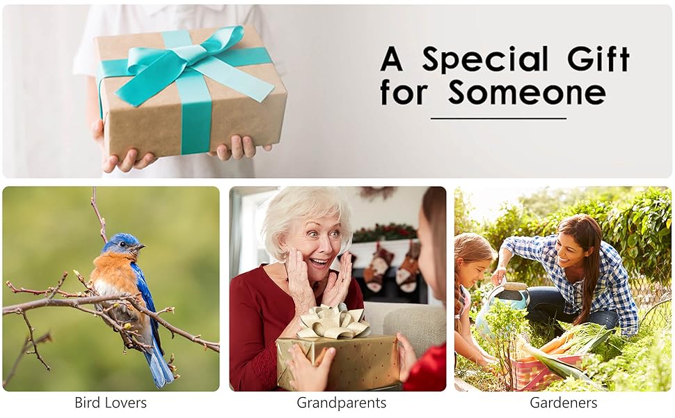 A Special Gift for Someone