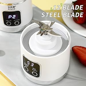 12 steel blade for perfect blending