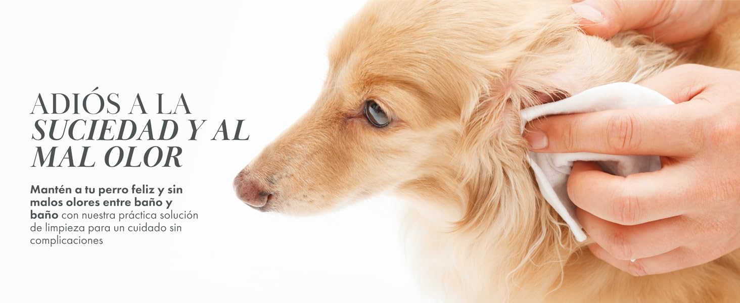 adios a la suciedad y al mal olor
