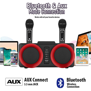 ALPOWL Machine de karaoké, système de Haut-parleurs Portable avec 2 Microphones sans Fil pour fête à la Maison, réunion, Mariage, église, Pique-Nique, extérieur/intérieur (Or) Bluetooth et connexion auxiliaire