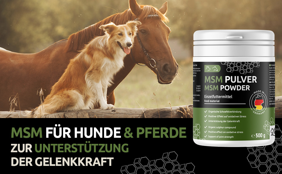 MSM Hund
