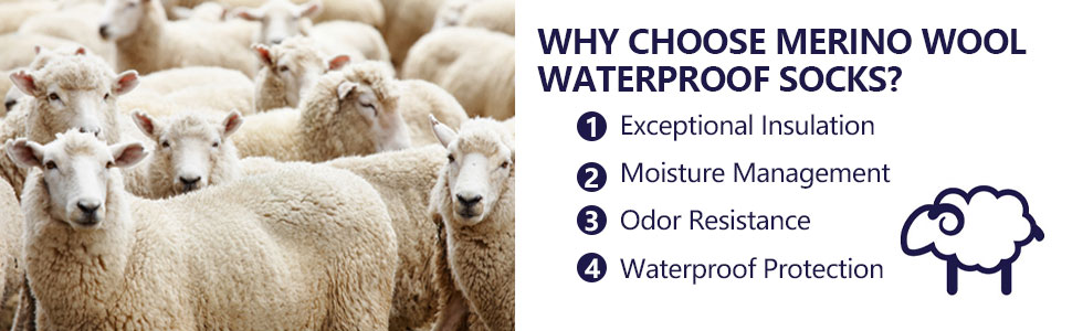 merino wool socks