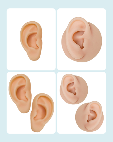 silicone ear model