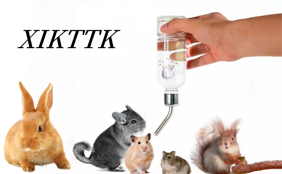 Eine Hand hält einer Gruppe Hamster eine Flasche Wasser.
