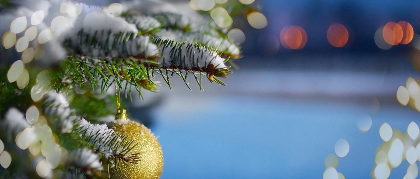 JIMACRO Outdoor Solar LED Rope Lights, IP65 Waterproof Rope Lights 12m