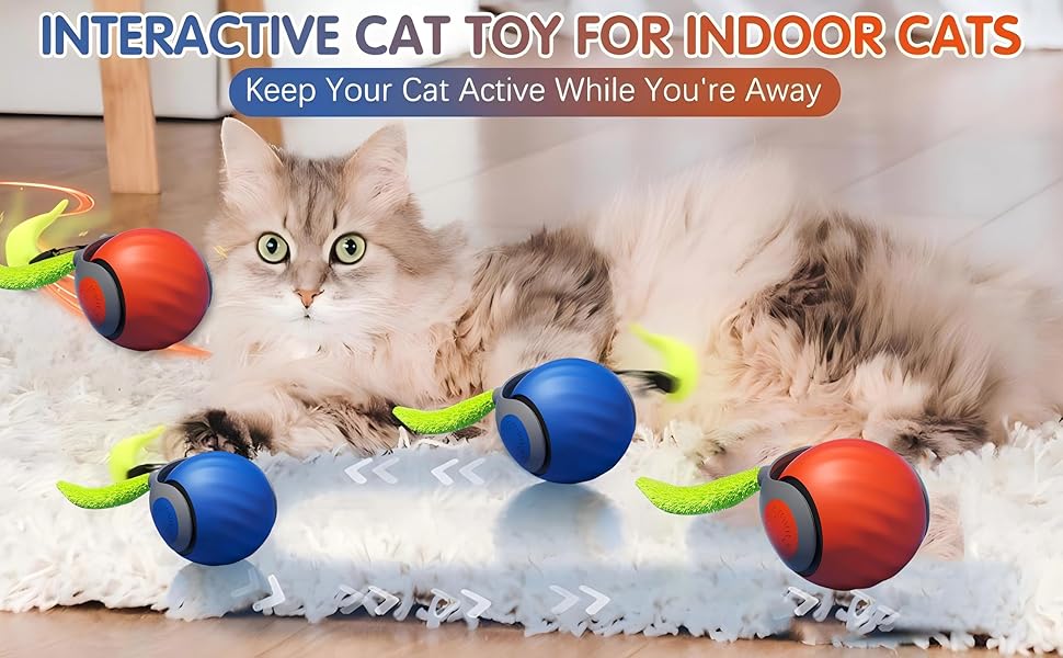 cat toys,cat toy,cat toys for indoor cats,interactive cat toy,interactive cat toys