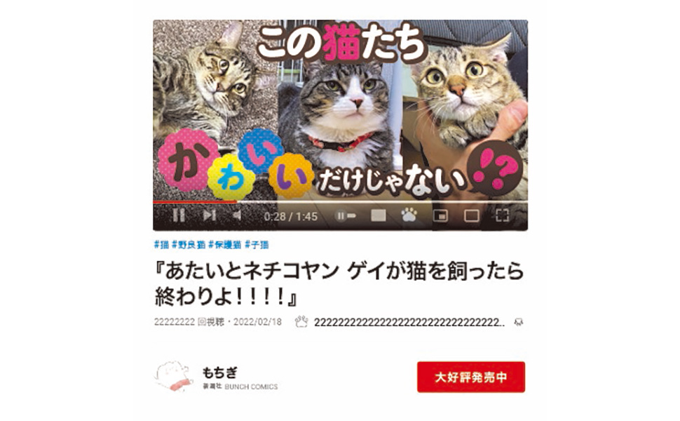 あたいとネチコヤン ゲイが猫を飼ったら終わりよ！！！！【電子