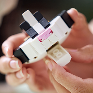 21349_أفكار ليغو