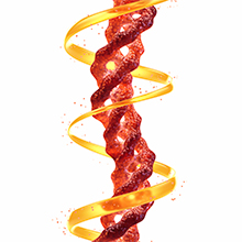 Solaray Type I II III Collagen Keratin ALA Hyaluronic Acid Hair Skin Joint Health Support