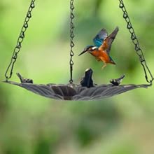 Bird Bath Tray