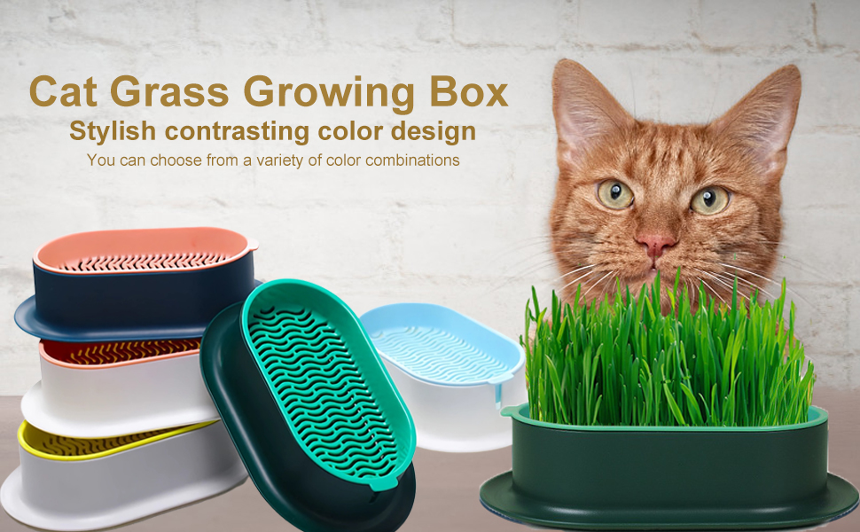 YUMINGUHC Cat Grass Planter Catnip Wheatgrass Seed Sprout