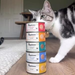 Small manufacture image 7