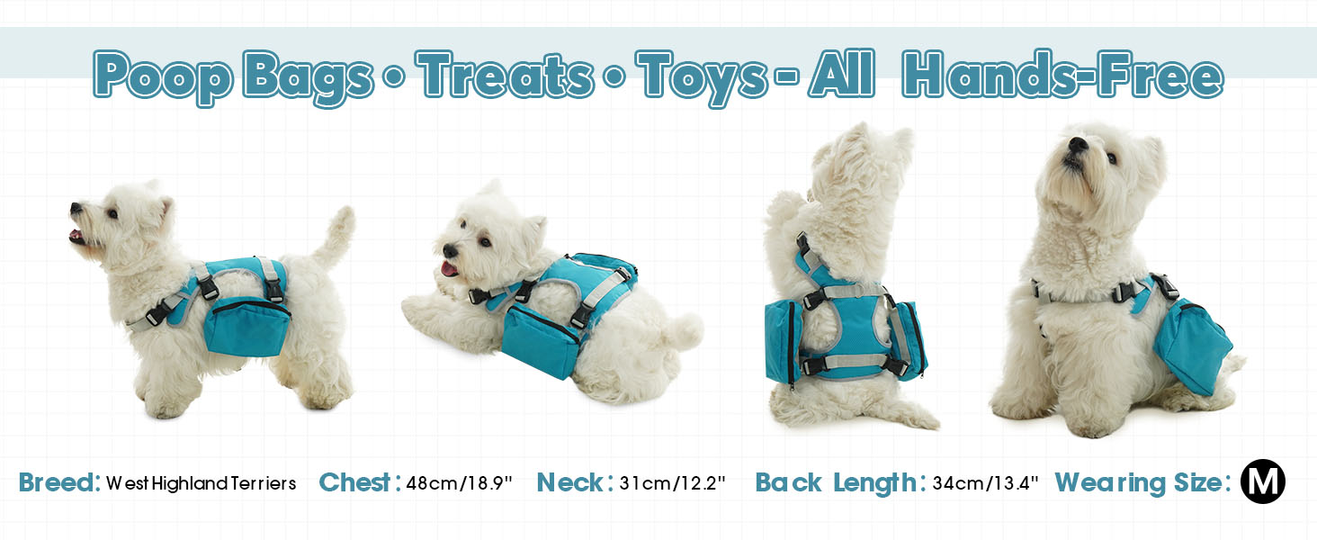 dog backpacks with harness