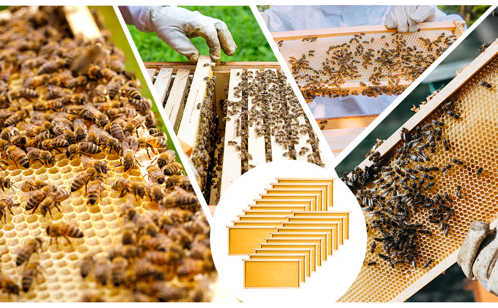 Large manufacture image 3