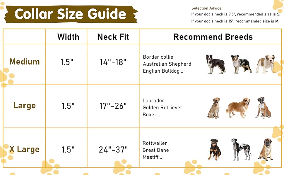 1.5 Inches Wide Martingale Dog Collar, Heavy Duty
