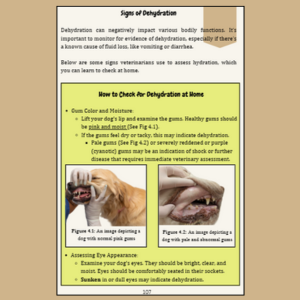 How to assess for dehydration