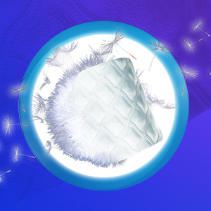 Fine Gambini, Toilet Paper