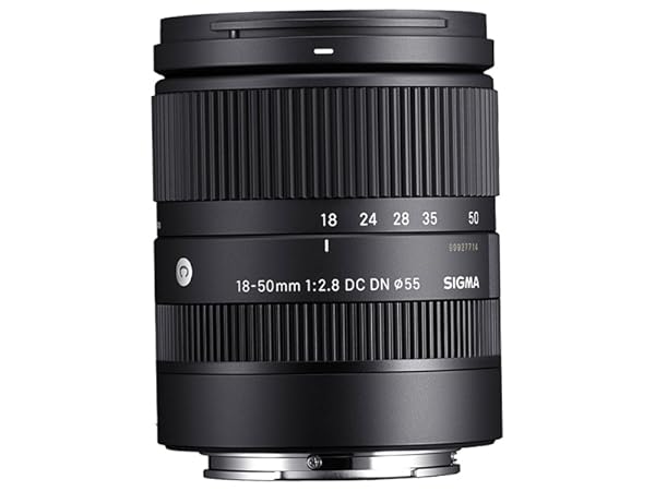 Amazon.com : Sony a6700 Mirrorless Camera Bundled with Sigma 18