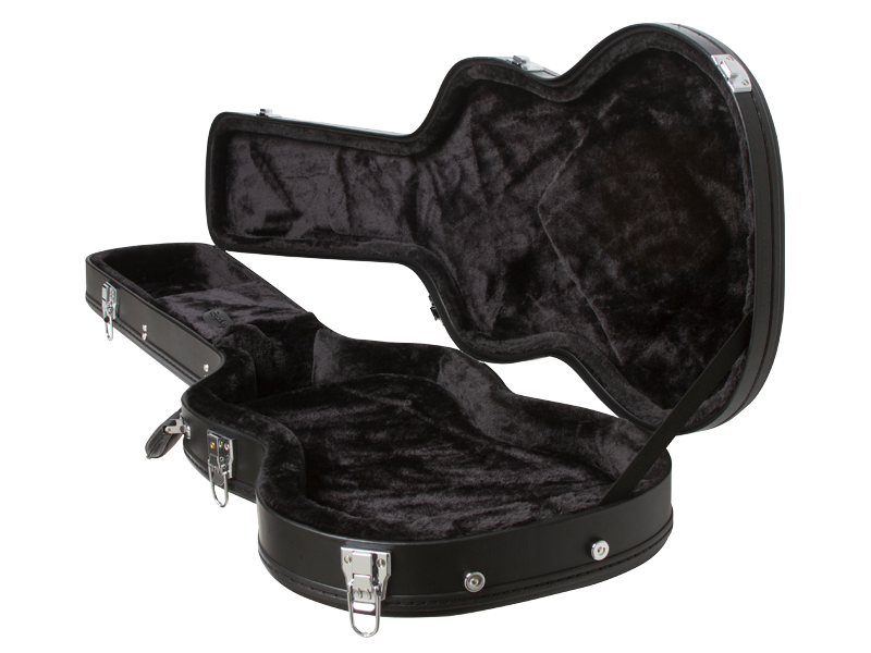 Amazon.com: Epiphone Hard Case for Embassy PRO Bass : Musical