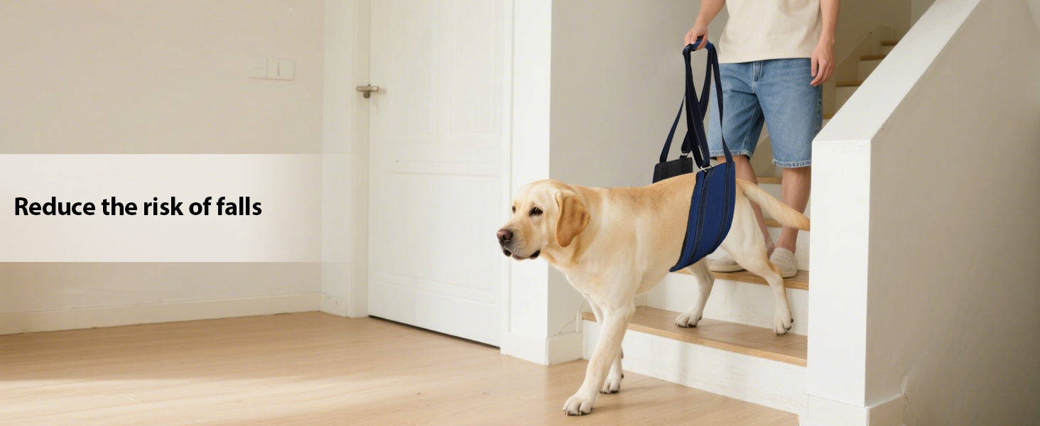 AIITLE Upgraded Dog Lift Harness for Large Dogs - Hind Leg Pet Sling