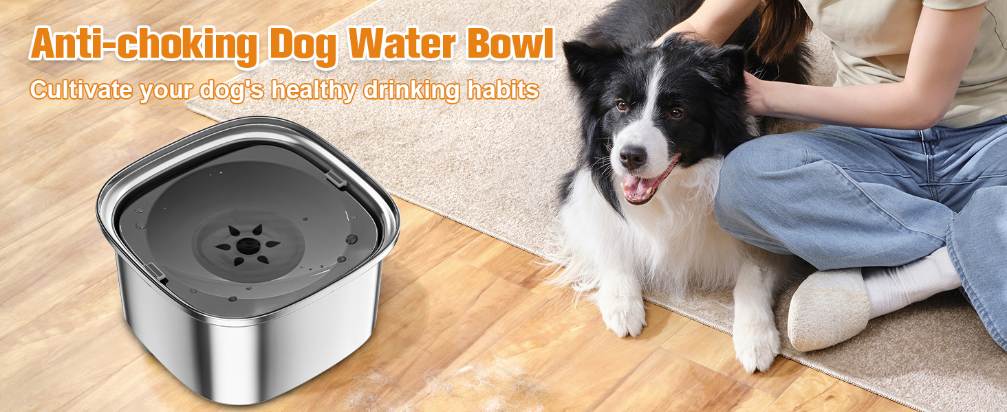 dog slow feeder bowl