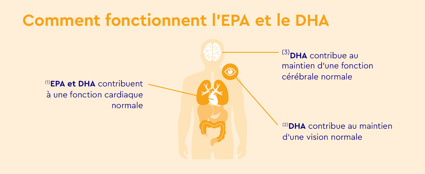 montrant les fonctions de l'EPA et du DHA dans le corps humain. Illustre les bienfaits pour le cœur et le cerveau, avec un texte en français décrivant leurs rôles.