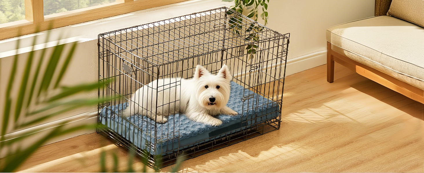 Orthopedic Dog Beds
