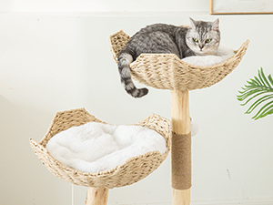 cat tree
