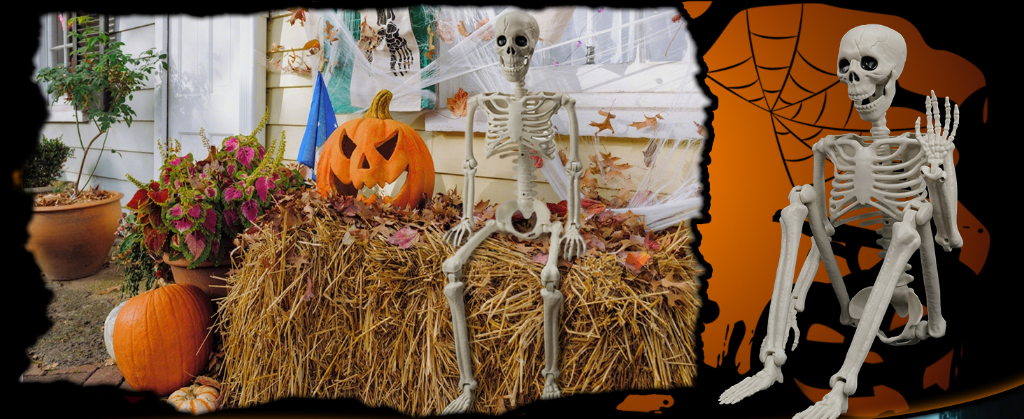 Skeleton Human Dog