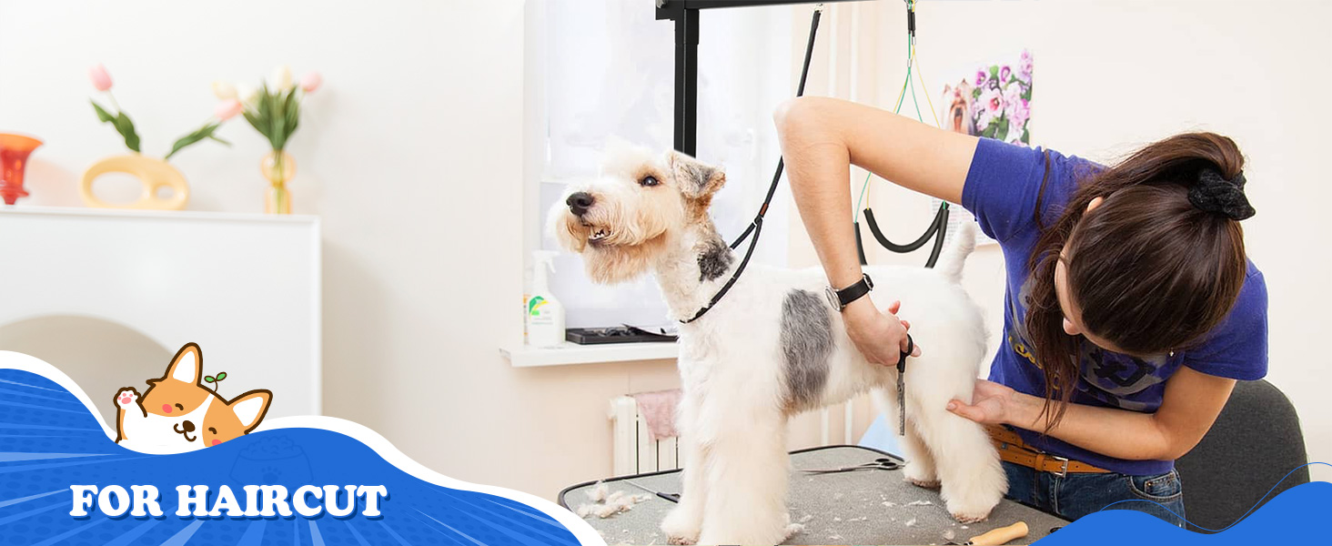 dog grooming harness