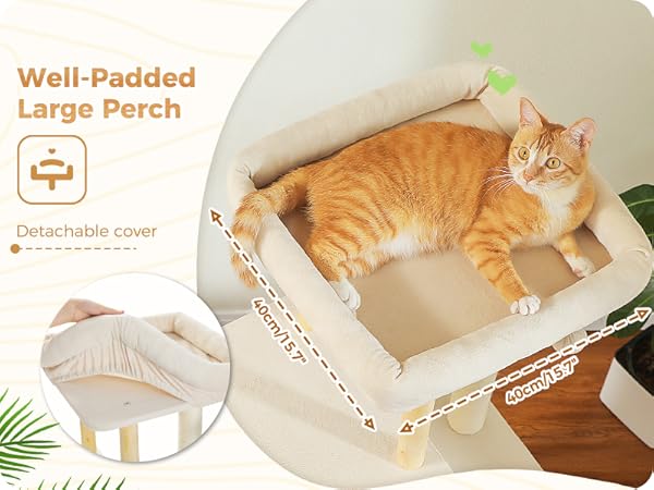 【大特価】 CAT'S PAW看板木枠付き 猫ハウス&キャットタワー 六角BOX①オープン（連結用） ｜ 猫の