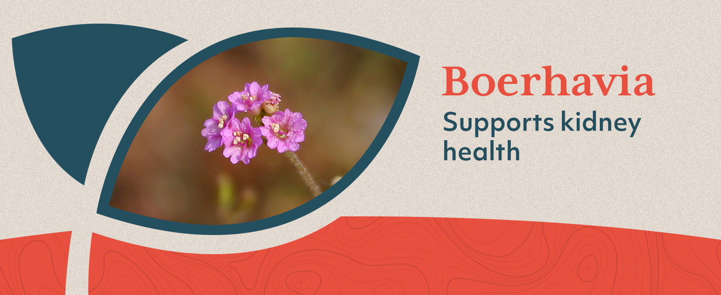 potassium pressure supplements taurate 1500mg taurato de magnesio best lower reducers medicine