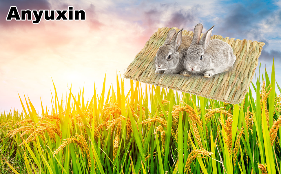 Anyuxin Rabbit Grass Mat Woven Bed Mat, Bunny Bedding