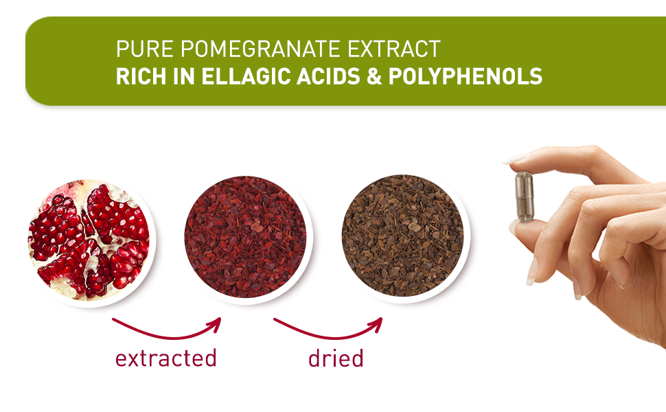 LifeWize® Pomegranate Extract Capsules Supplement Containing 40