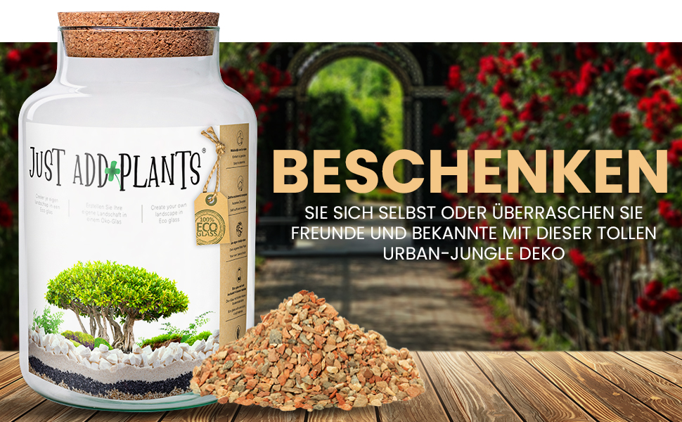 Der Pflanzenladen - Baumsamen